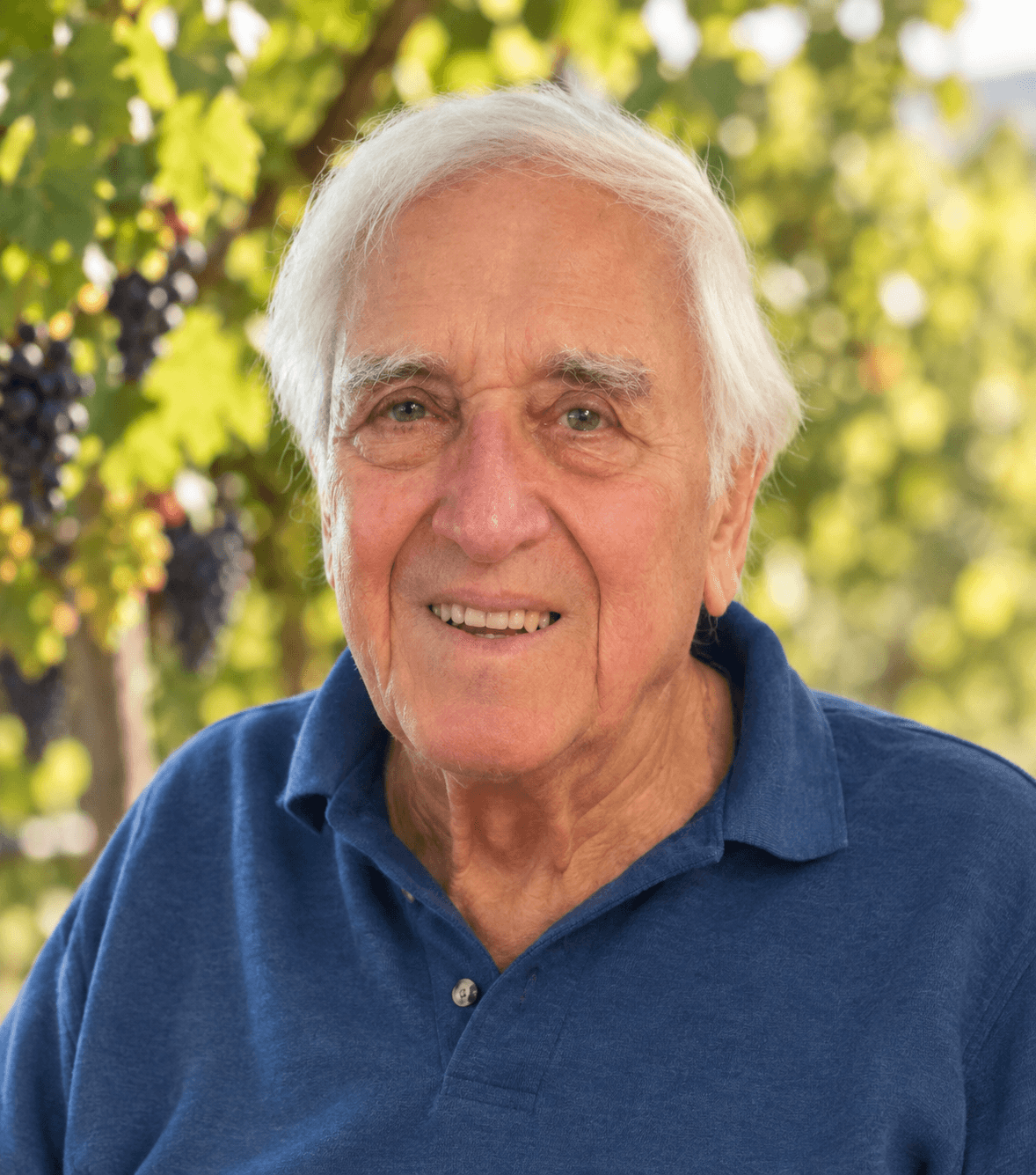 Foto der verstorbenen Person Karl Kratky 